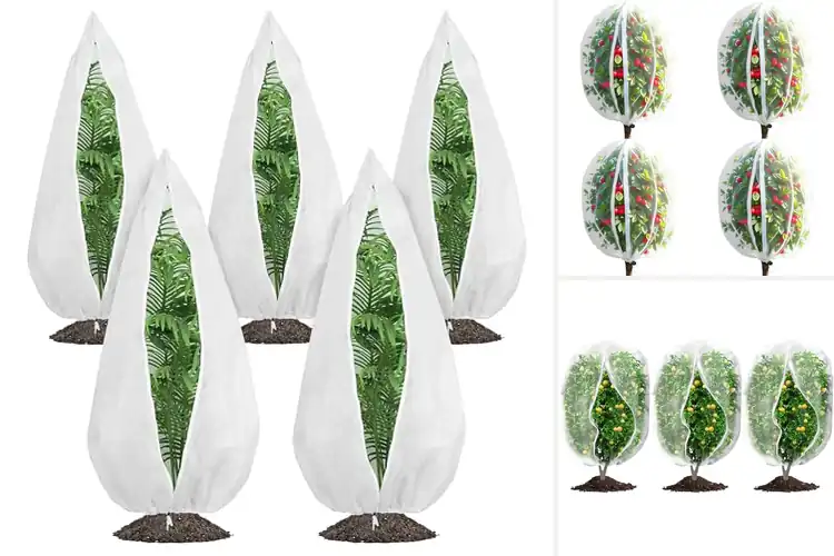 Detailed view of Best Zippered Plant Covers